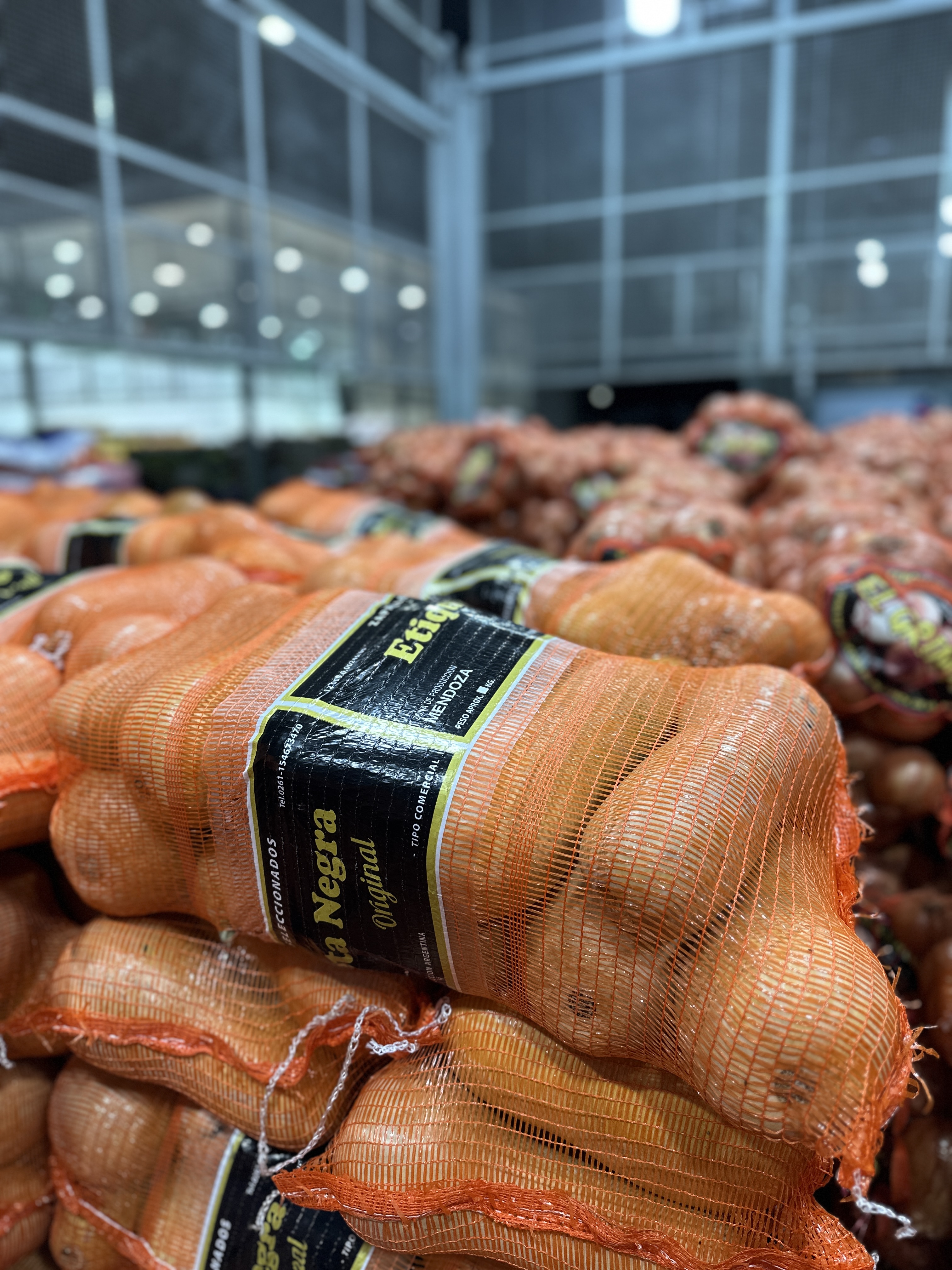 Calabaza fresca Pachi Productores