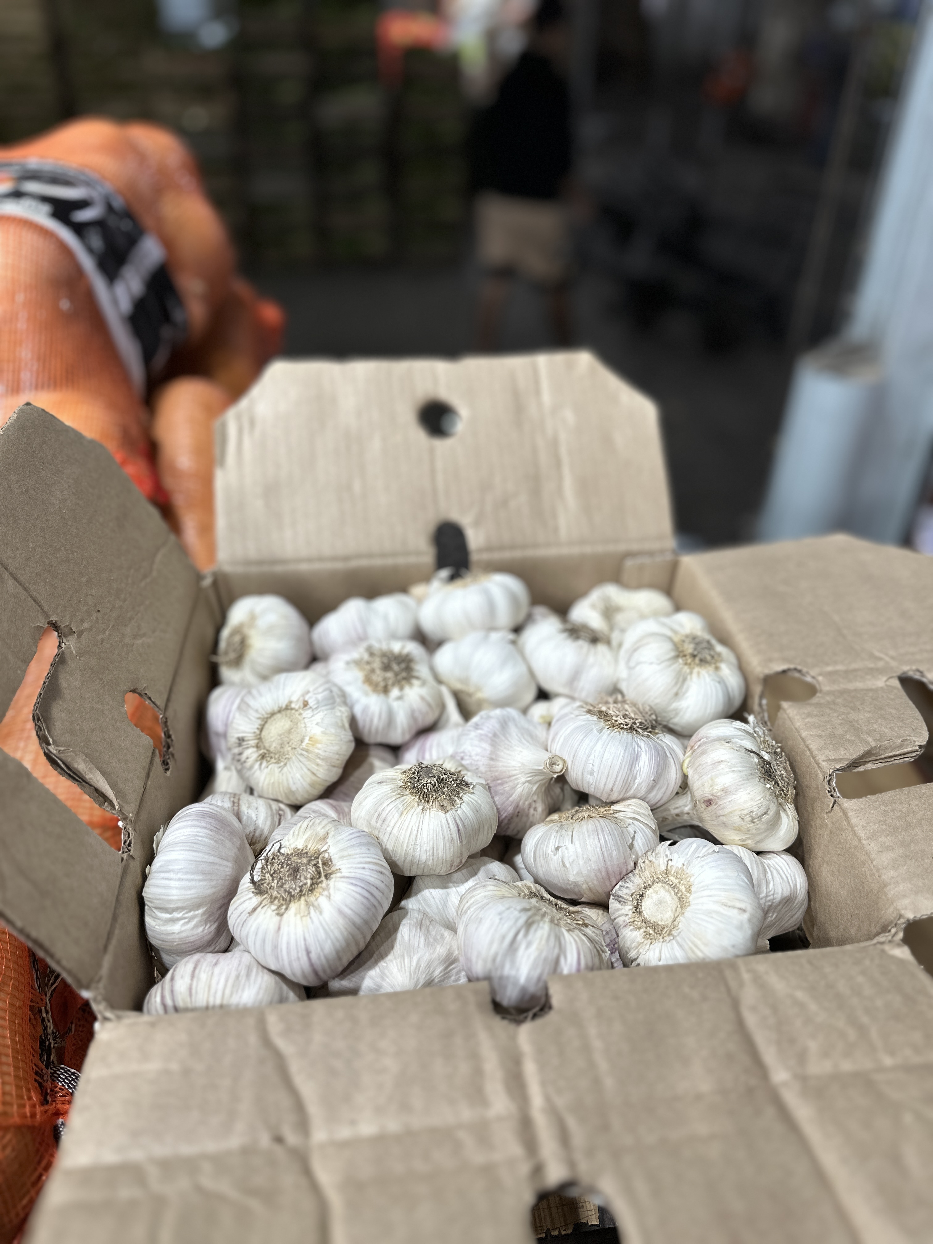 Ajos argentinos Pachi Productores