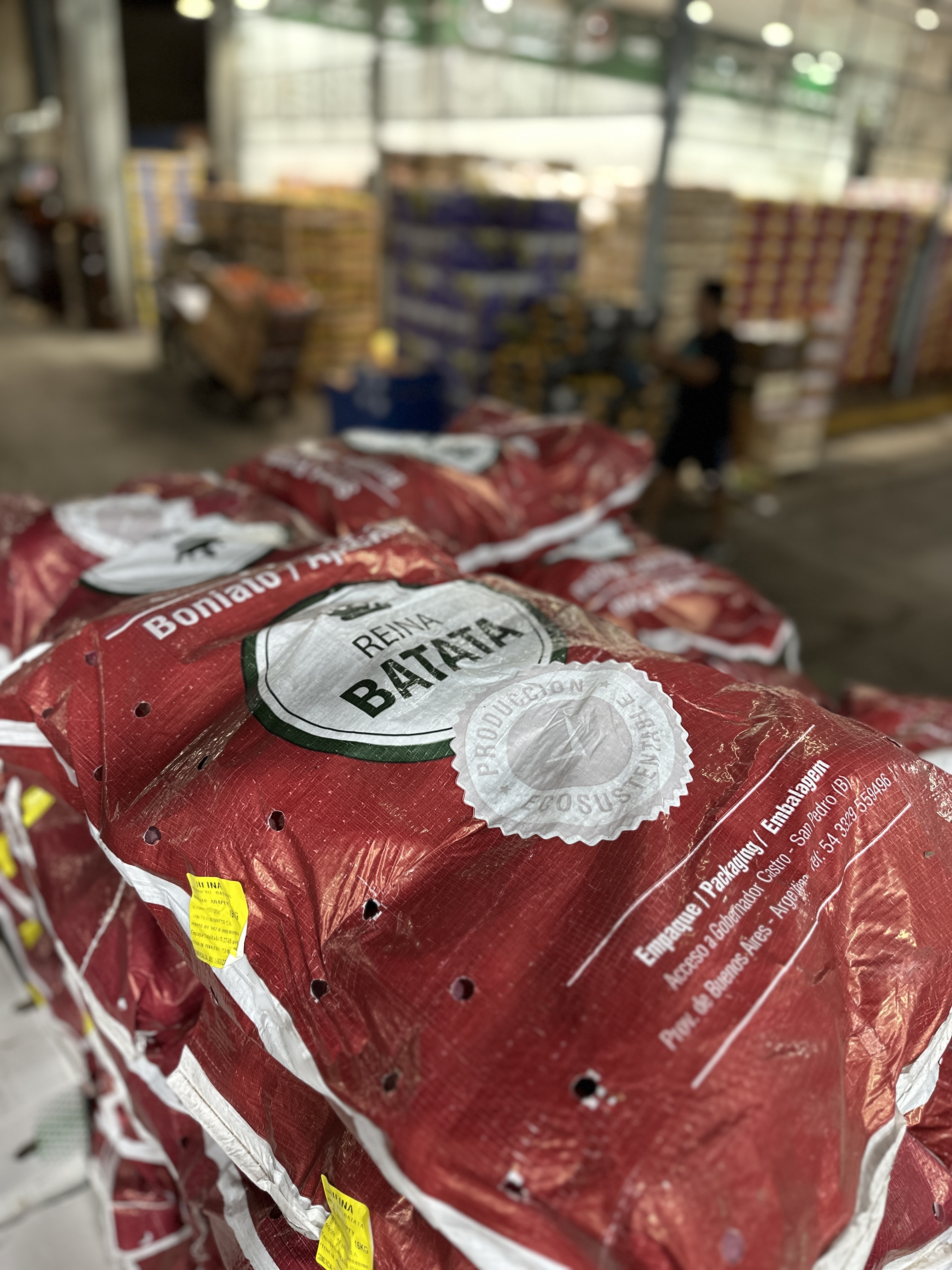 Batata zanahoria Pachi Productores