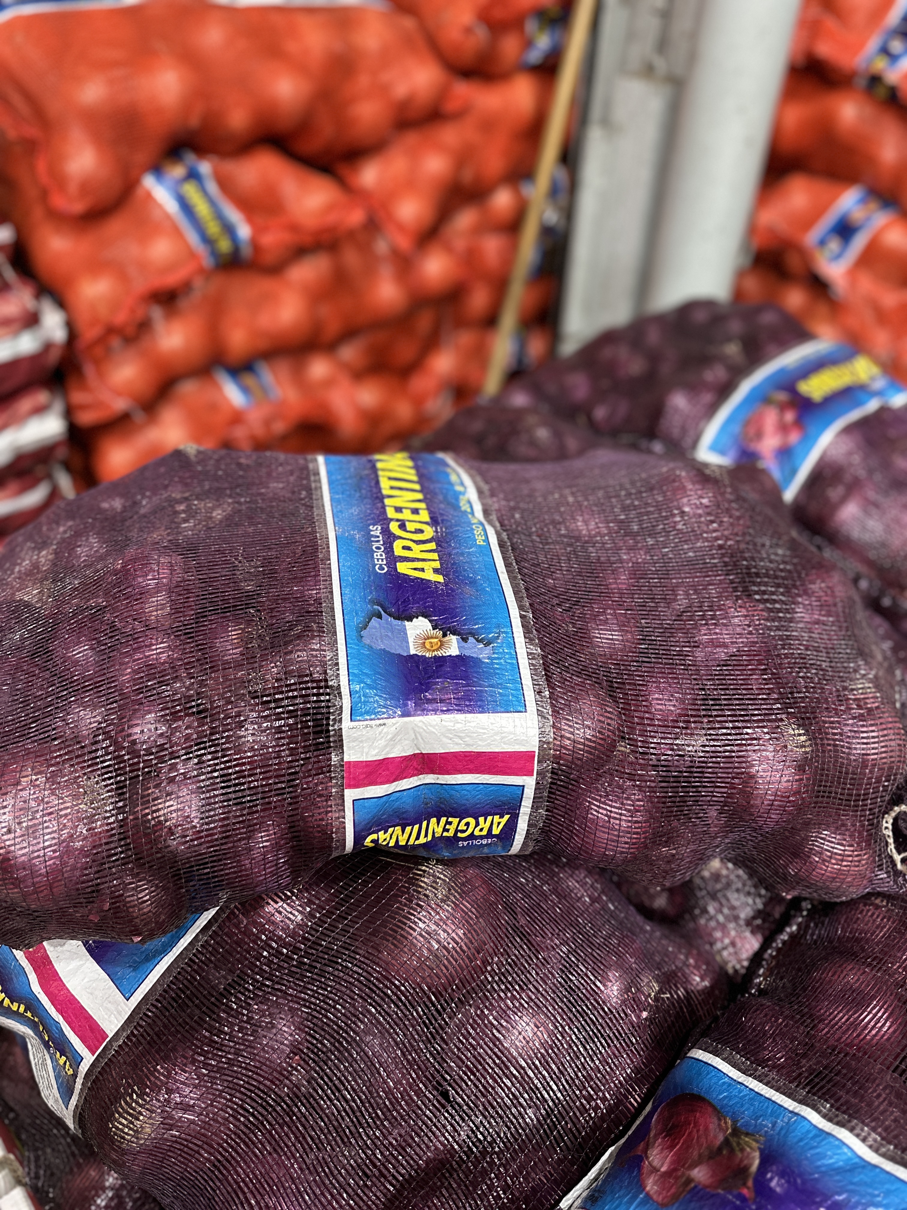 Cebolla morada argentina Pachi Productores
