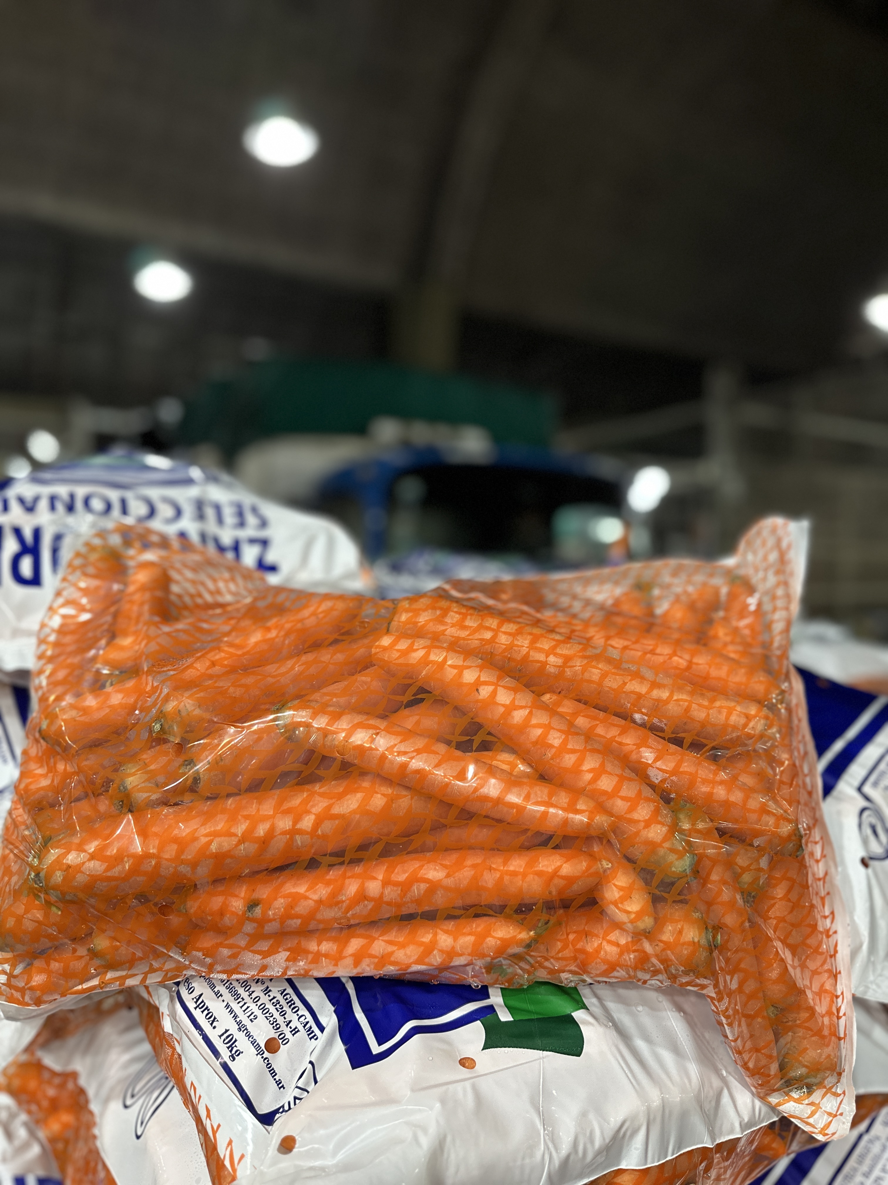 Zanahoria fresca Pachi Productores